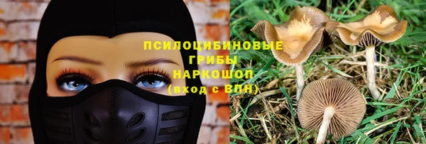 дурь Ладушкин